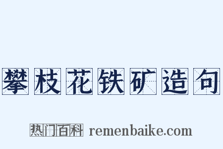 攀枝花铁矿造句是什么意思的图片